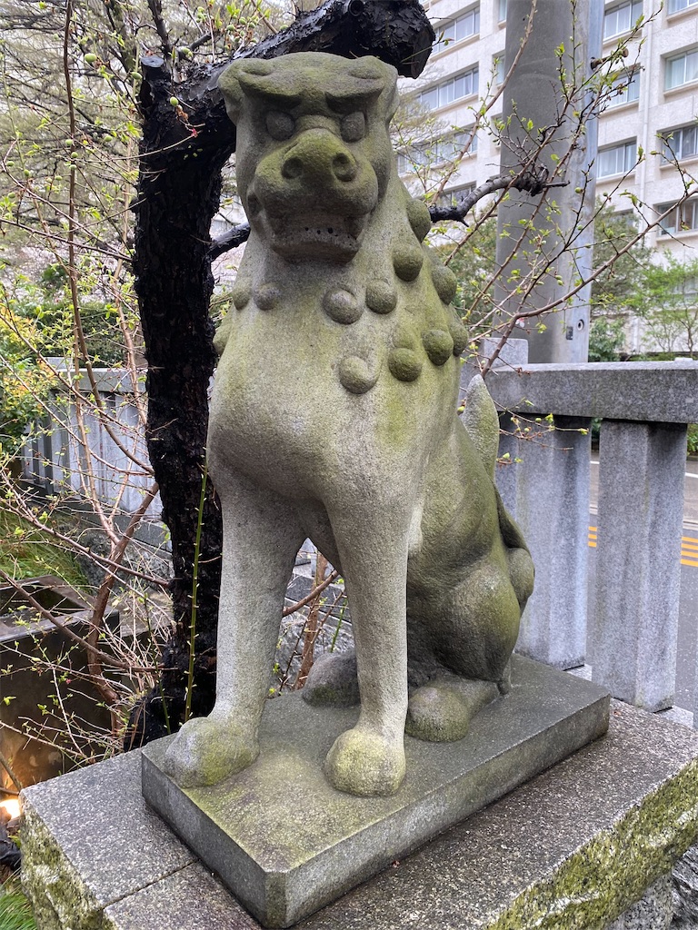 f:id:nagatorowo2:20250403214447j:image