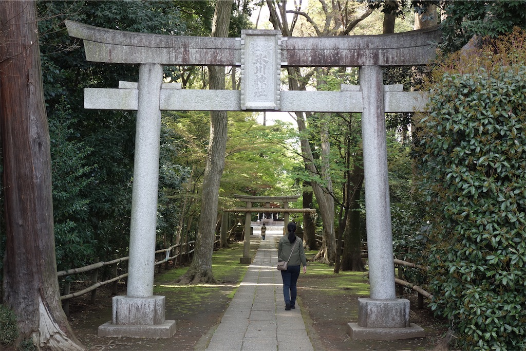 f:id:nagatorowo2:20250405205500j:image