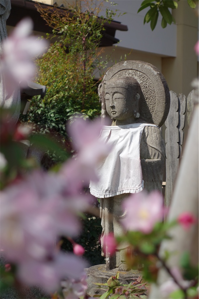 f:id:nagatorowo2:20250405205505j:image