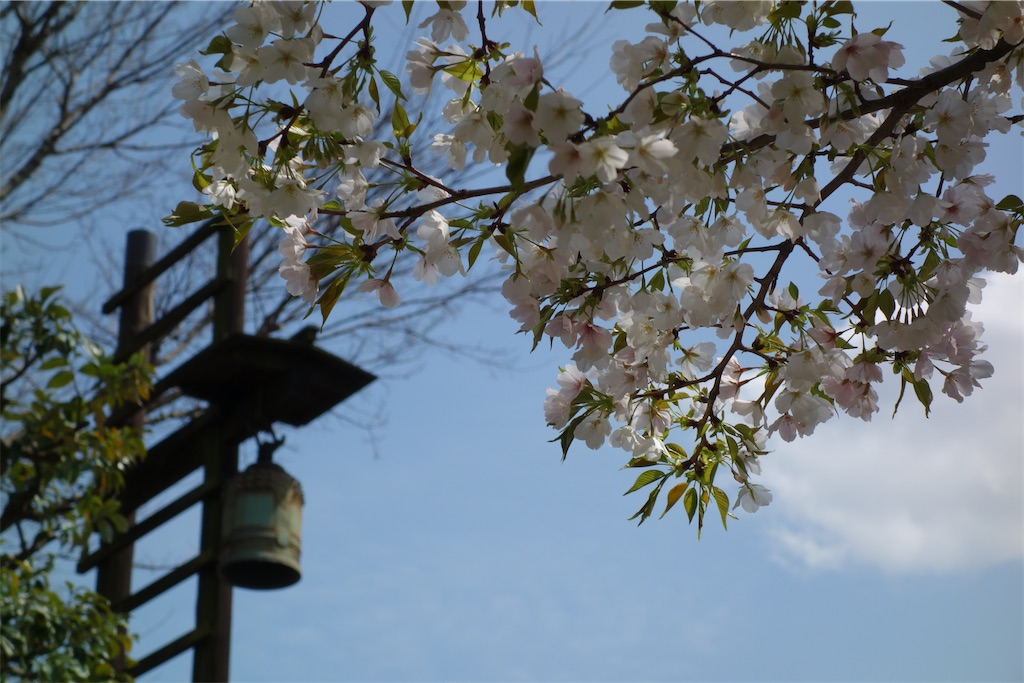 f:id:nagatorowo2:20250405205522j:image