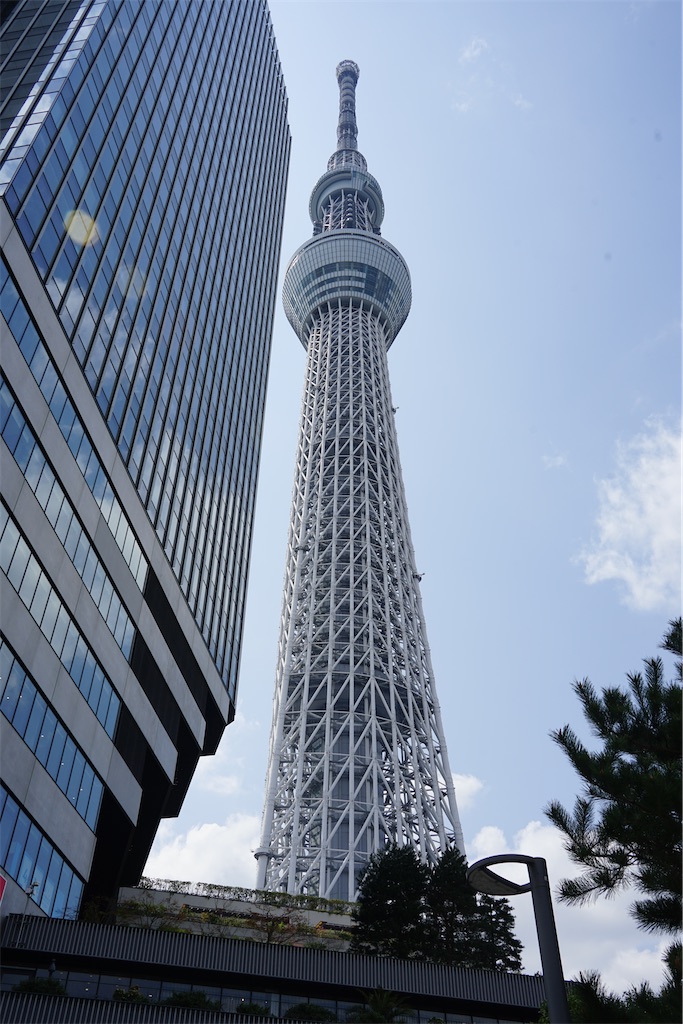 f:id:nagatorowo2:20250407222651j:image