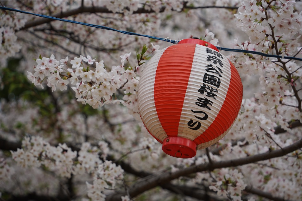 f:id:nagatorowo2:20250407222658j:image