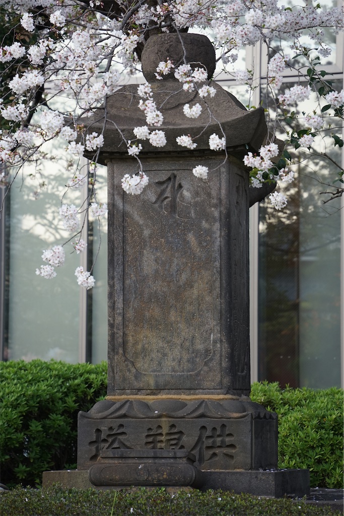 f:id:nagatorowo2:20250407222702j:image