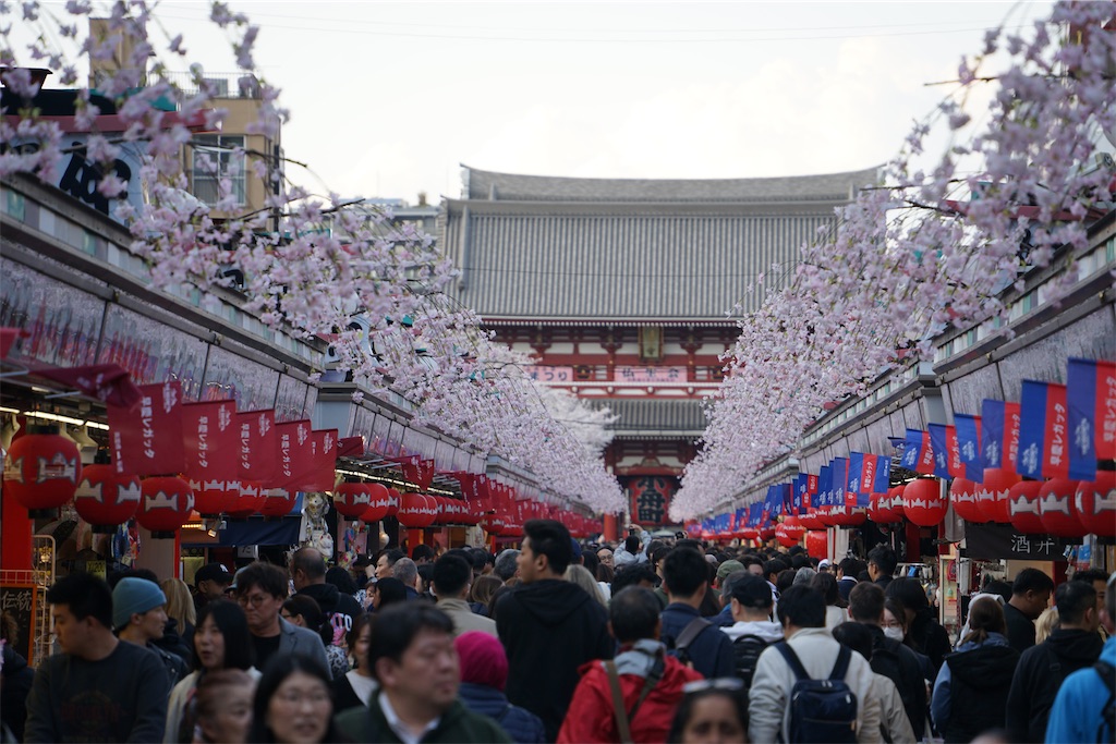 f:id:nagatorowo2:20250407222707j:image f:id:nagatorowo2:20250407222707j:image