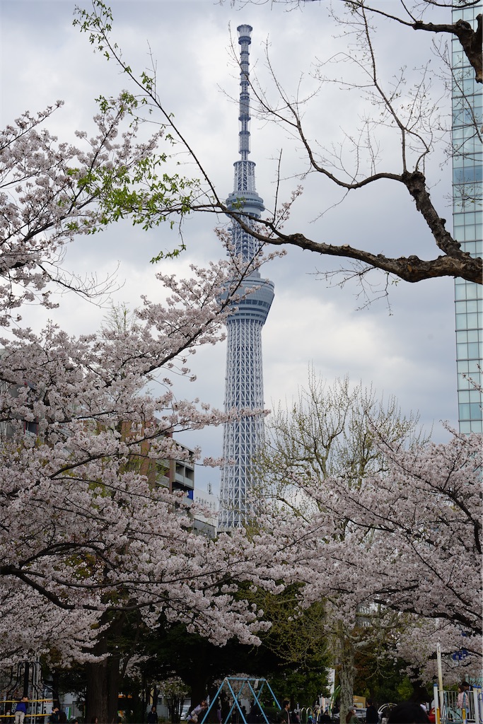 f:id:nagatorowo2:20250407222732j:image f:id:nagatorowo2:20250407222732j:image