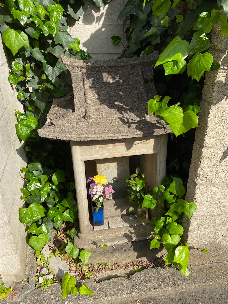 f:id:nagatorowo2:20250410003115j:image