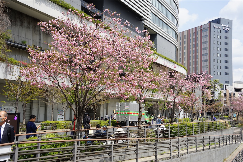 f:id:nagatorowo2:20250412003949j:image