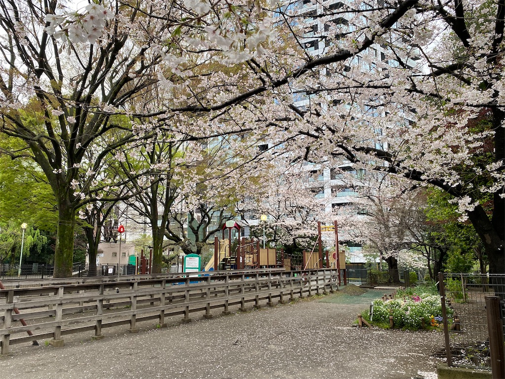 f:id:nagatorowo2:20250412003959j:image