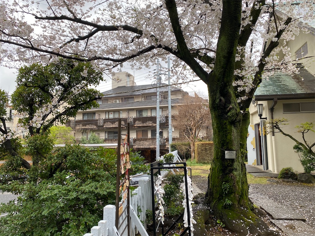 f:id:nagatorowo2:20250412004002j:image