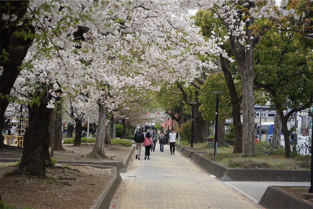 f:id:nagatorowo2:20250412004006j:image