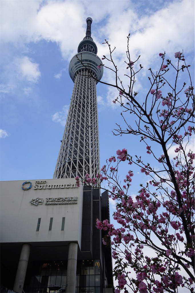 f:id:nagatorowo2:20250412213426j:image