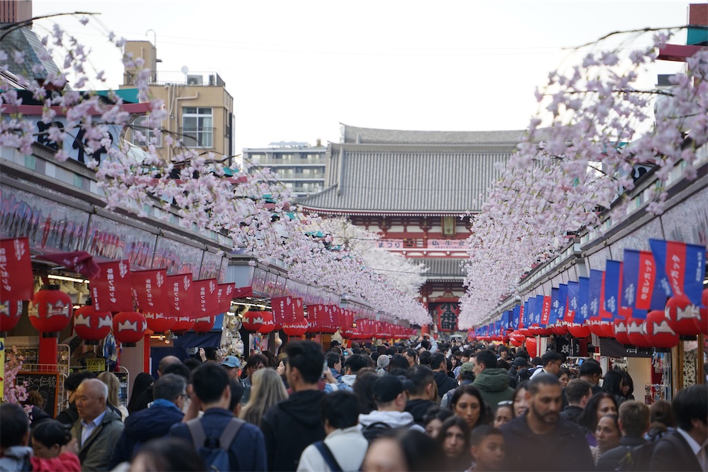 f:id:nagatorowo2:20250412213430j:image