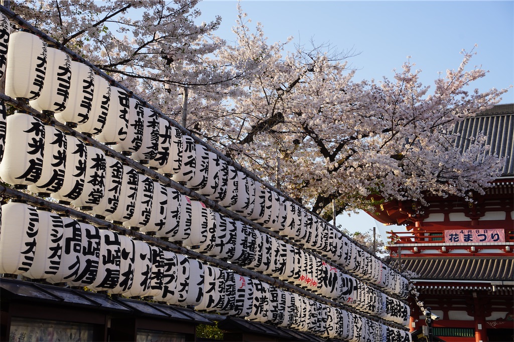 f:id:nagatorowo2:20250412213434j:image