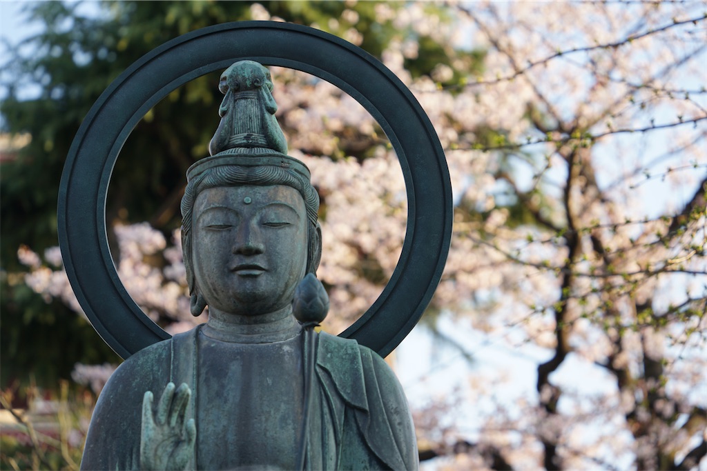 f:id:nagatorowo2:20250412223347j:image