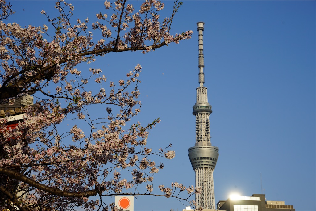 f:id:nagatorowo2:20250412223409j:image