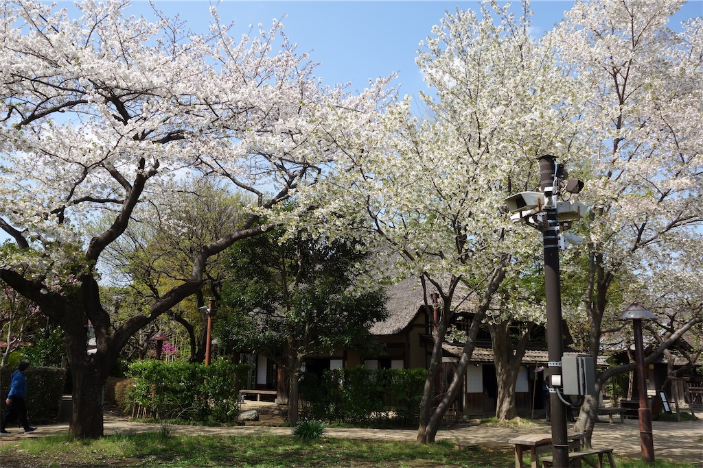 f:id:nagatorowo2:20250413152330j:image