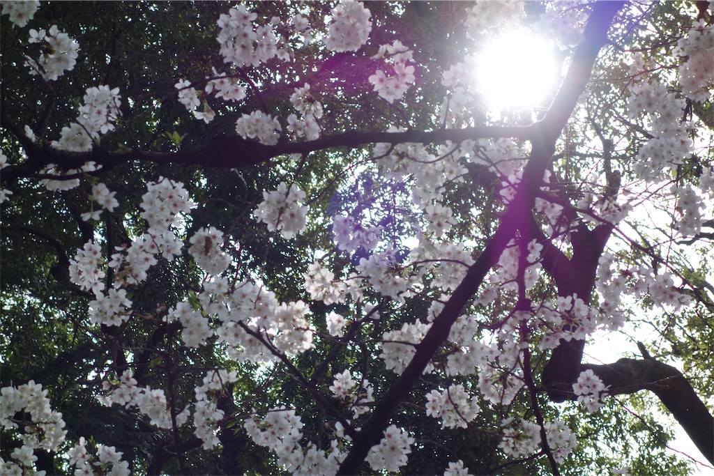 f:id:nagatorowo2:20250413152337j:image