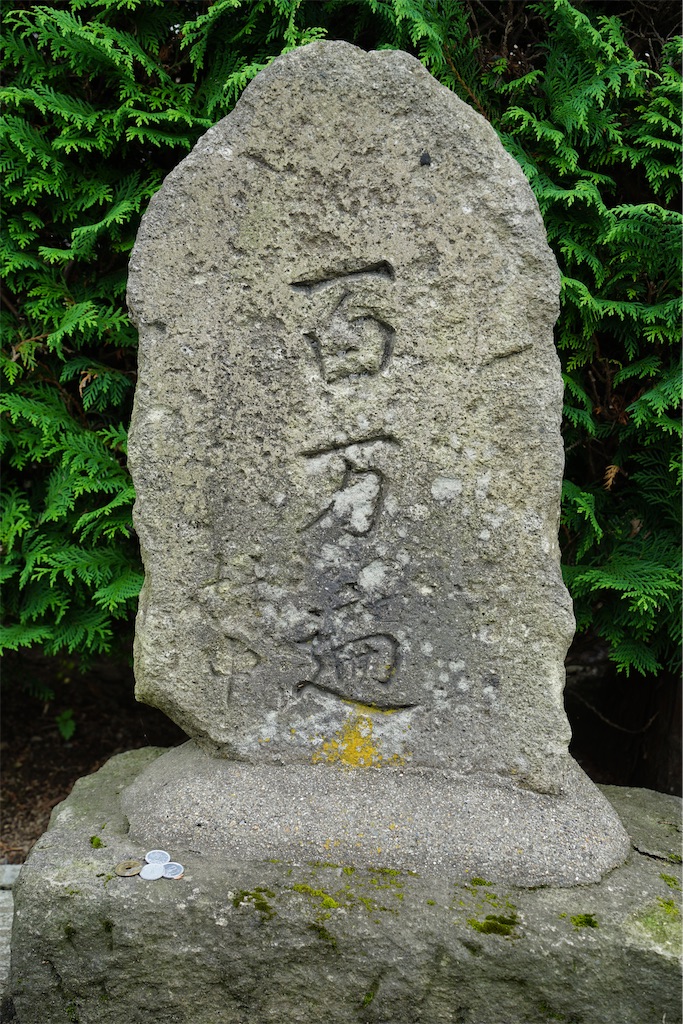 f:id:nagatorowo2:20250526130737j:image