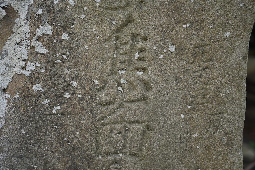 f:id:nagatorowo2:20250528175625j:image f:id:nagatorowo2:20250528175625j:image