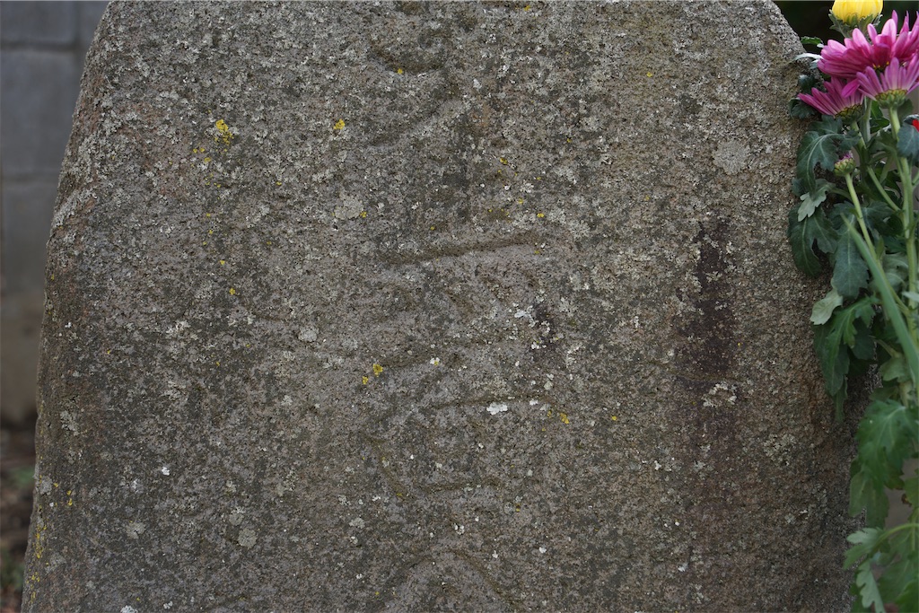 f:id:nagatorowo2:20250528175629j:image f:id:nagatorowo2:20250528175629j:image