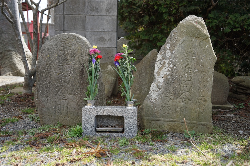 f:id:nagatorowo2:20250528175642j:image