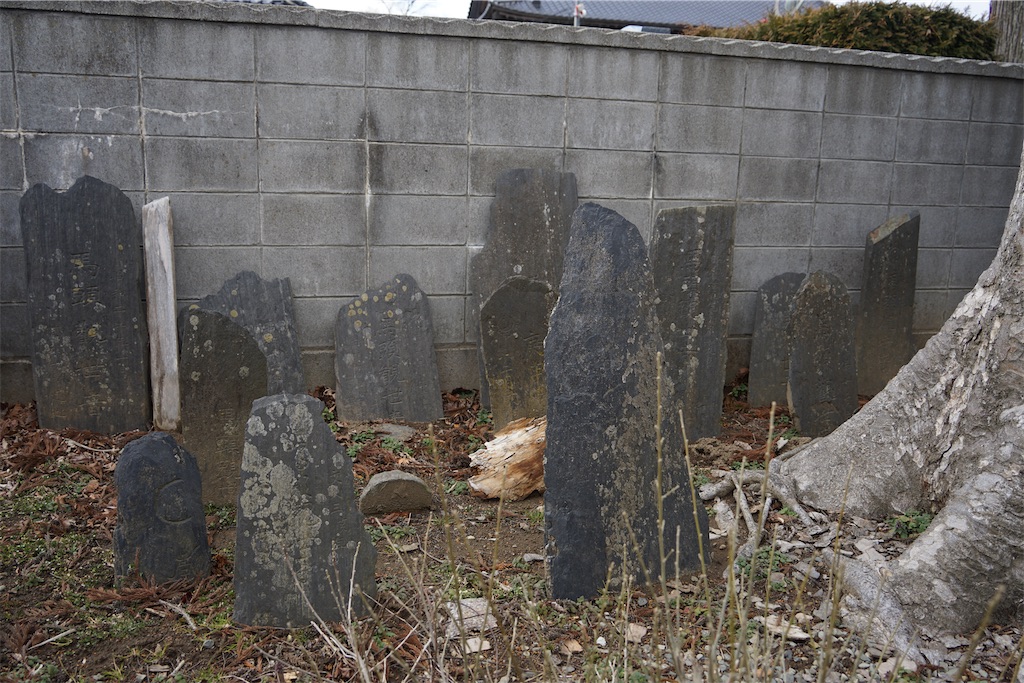 f:id:nagatorowo2:20250528175649j:image