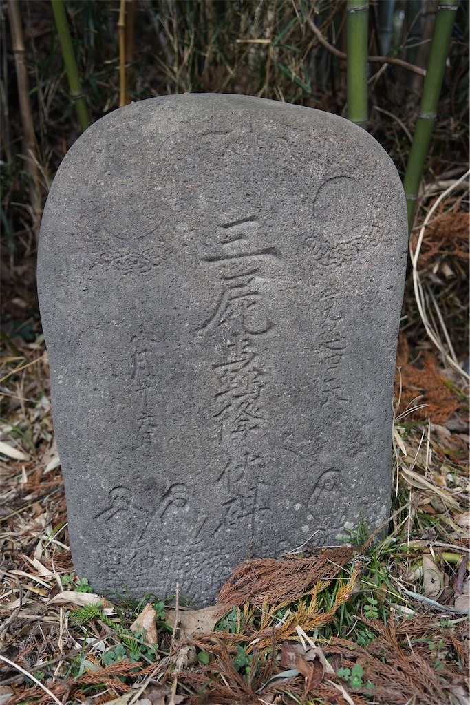 f:id:nagatorowo2:20250528182431j:image