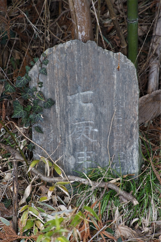 f:id:nagatorowo2:20250528182436j:image