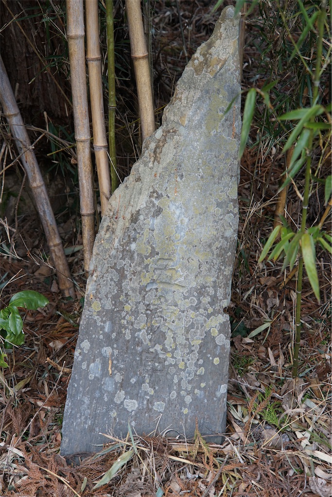 f:id:nagatorowo2:20250528182440j:image