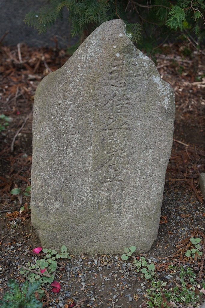 f:id:nagatorowo2:20250528183623j:image