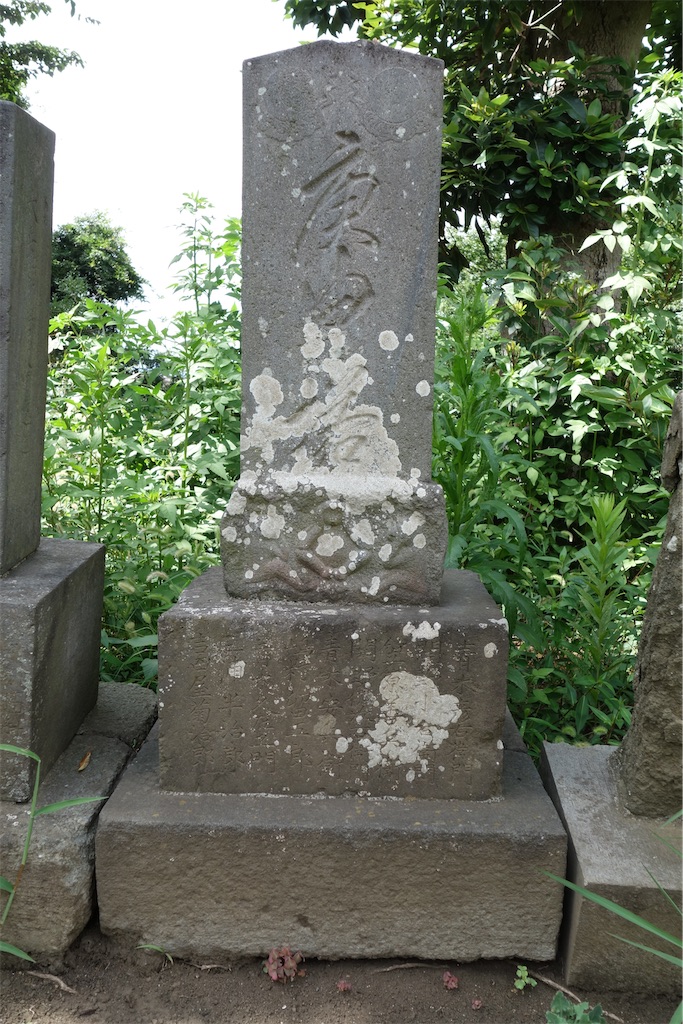 f:id:nagatorowo2:20250611030736j:image