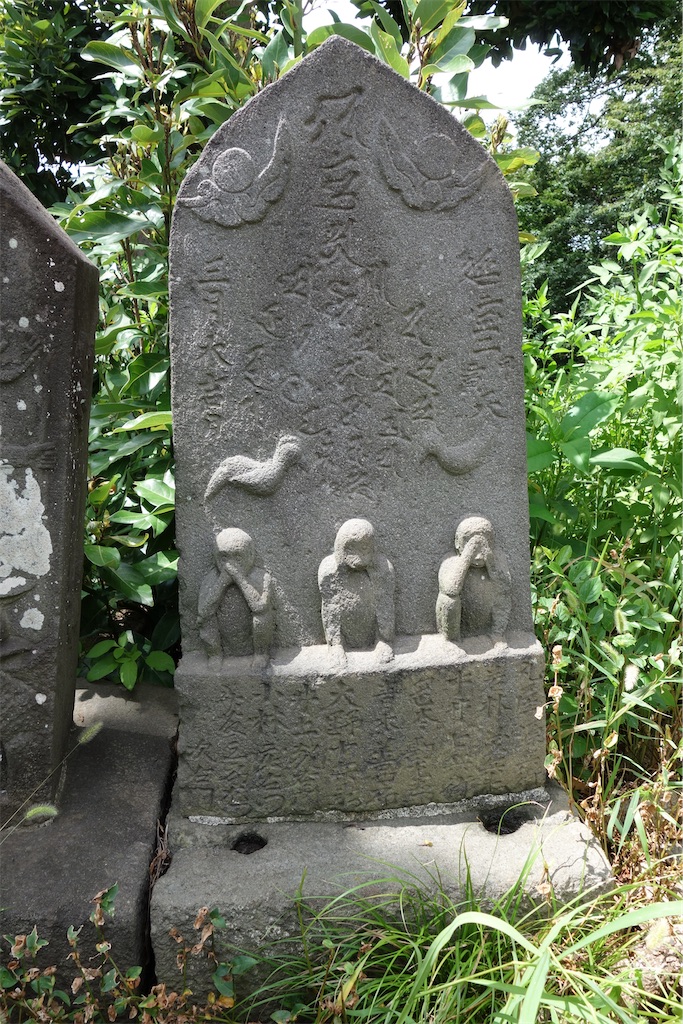 f:id:nagatorowo2:20250611030834j:image