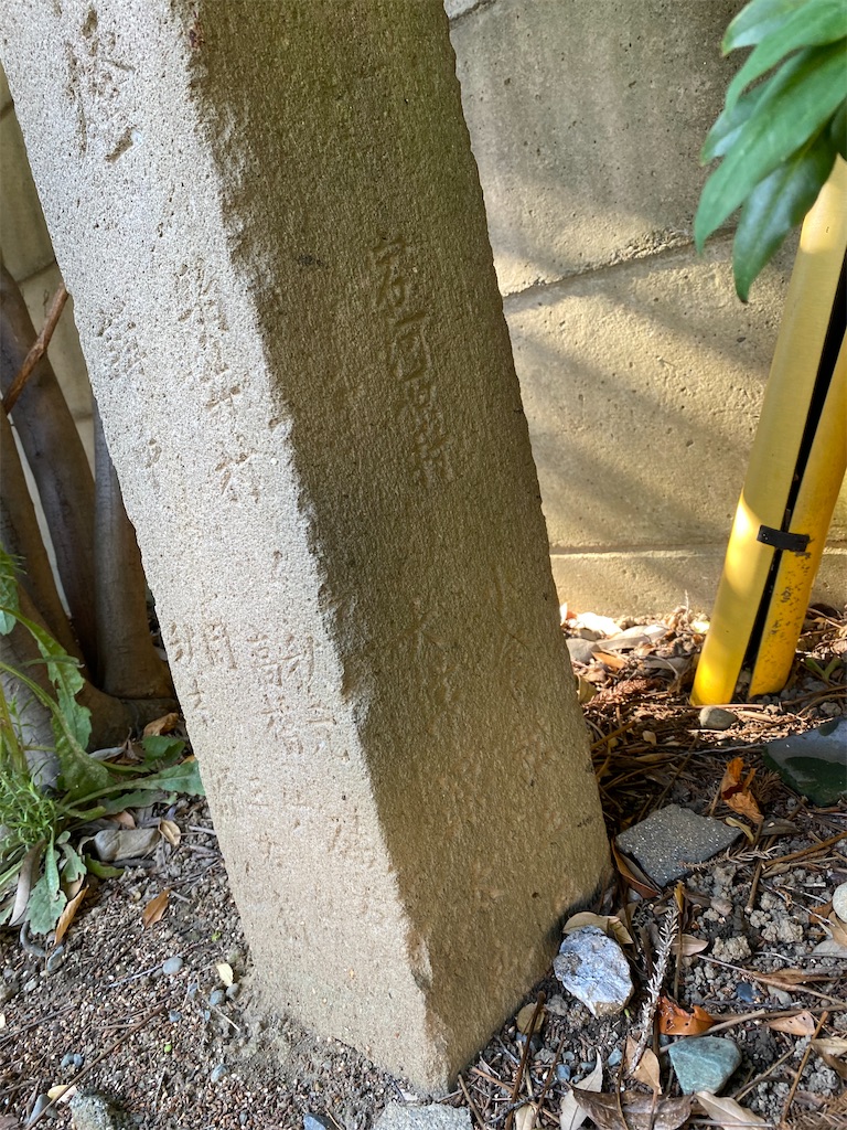 f:id:nagatorowo2:20250701000813j:image f:id:nagatorowo2:20250701000813j:image