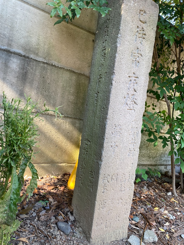 f:id:nagatorowo2:20250701000816j:image f:id:nagatorowo2:20250701000816j:image