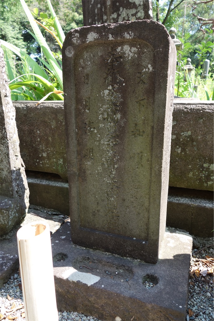 f:id:nagatorowo2:20250705000108j:image