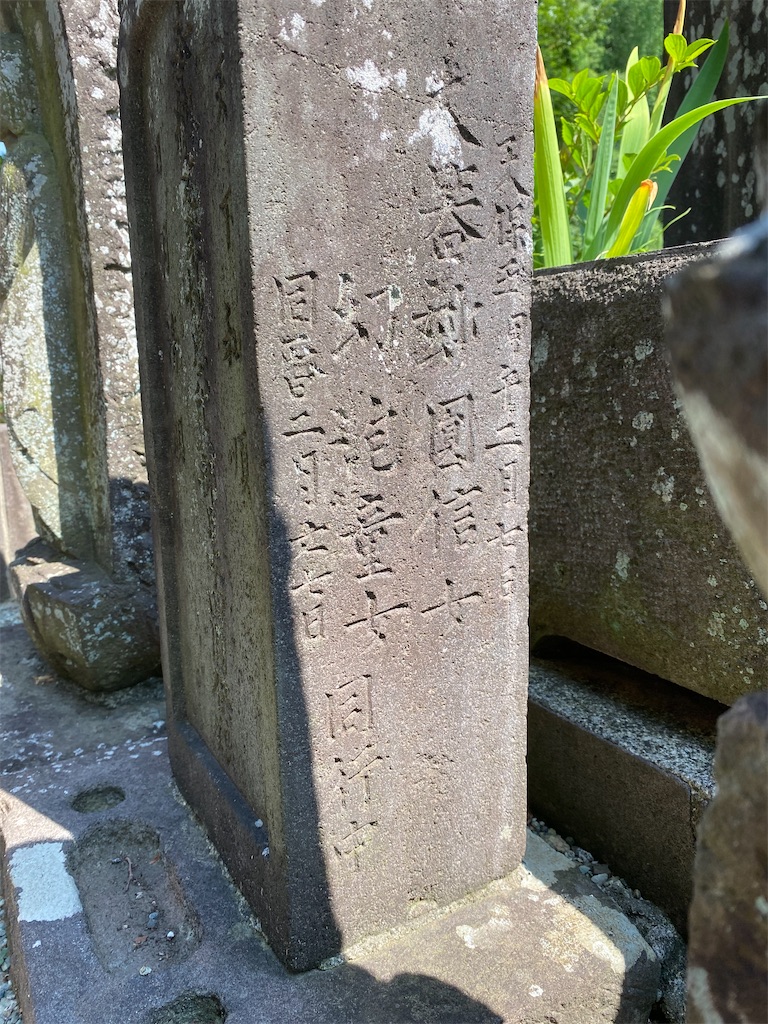 f:id:nagatorowo2:20250705000244j:image f:id:nagatorowo2:20250705000244j:image