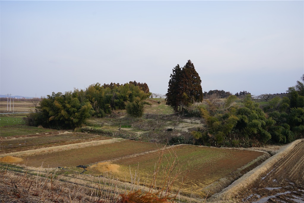 f:id:nagatorowo2:20250710045250j:image