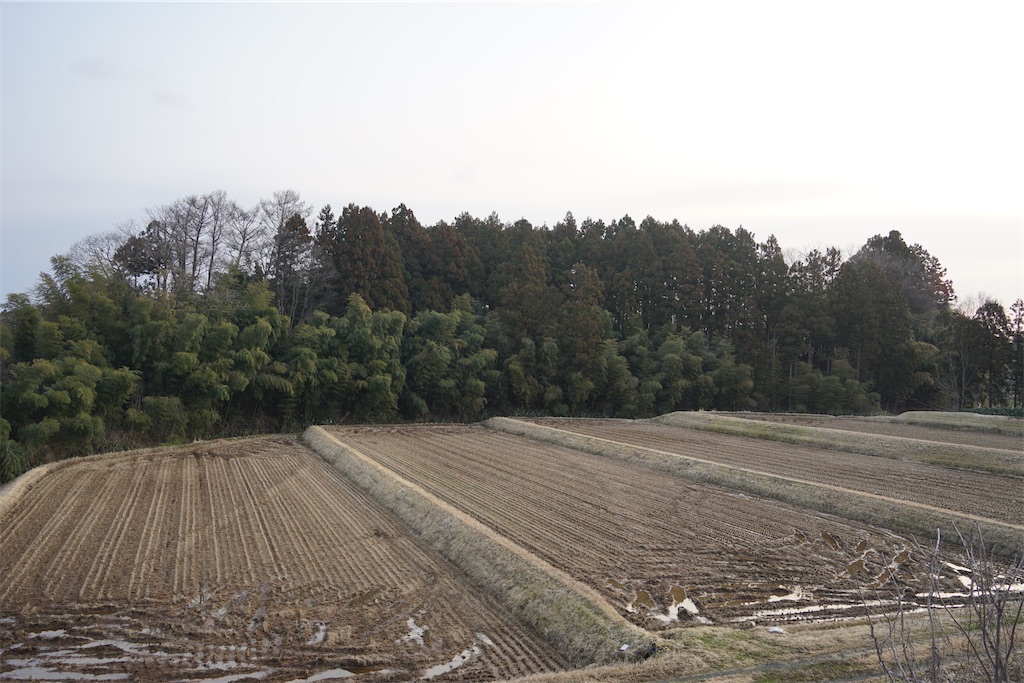 f:id:nagatorowo2:20250710045254j:image