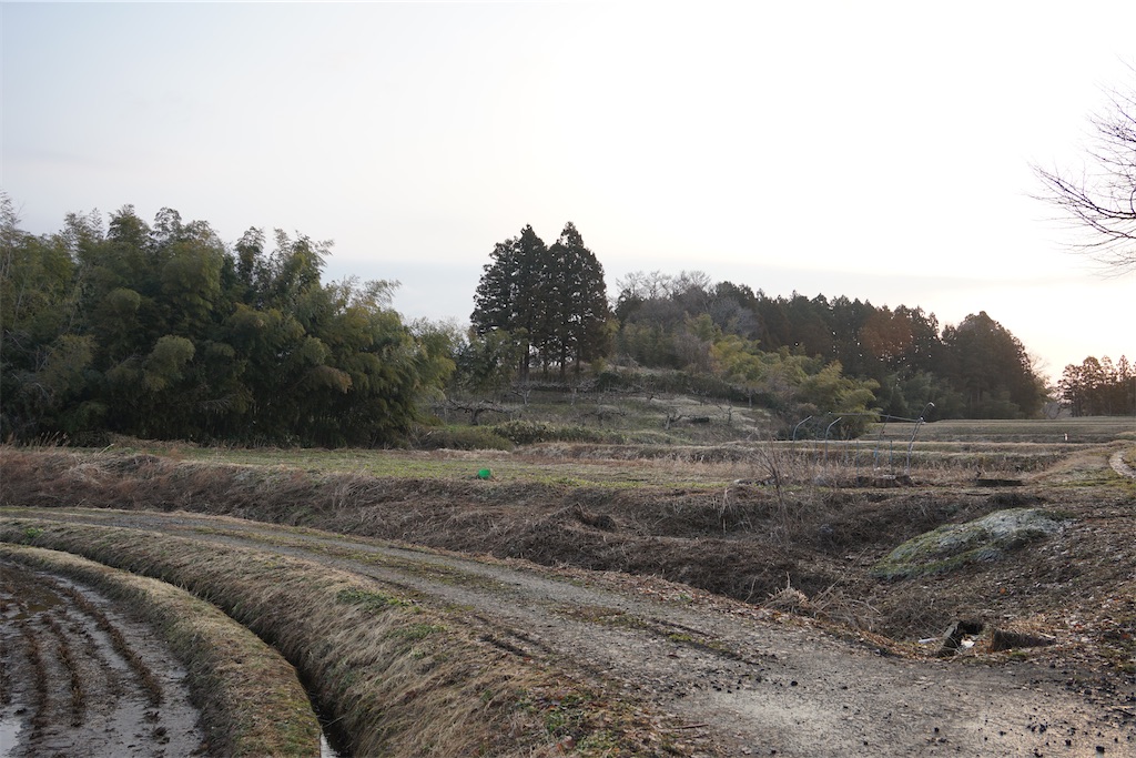 f:id:nagatorowo2:20250710045258j:image