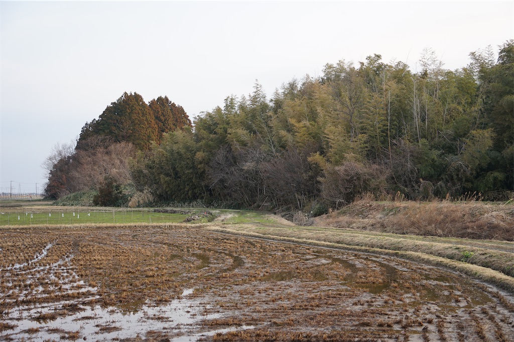 f:id:nagatorowo2:20250710045302j:image