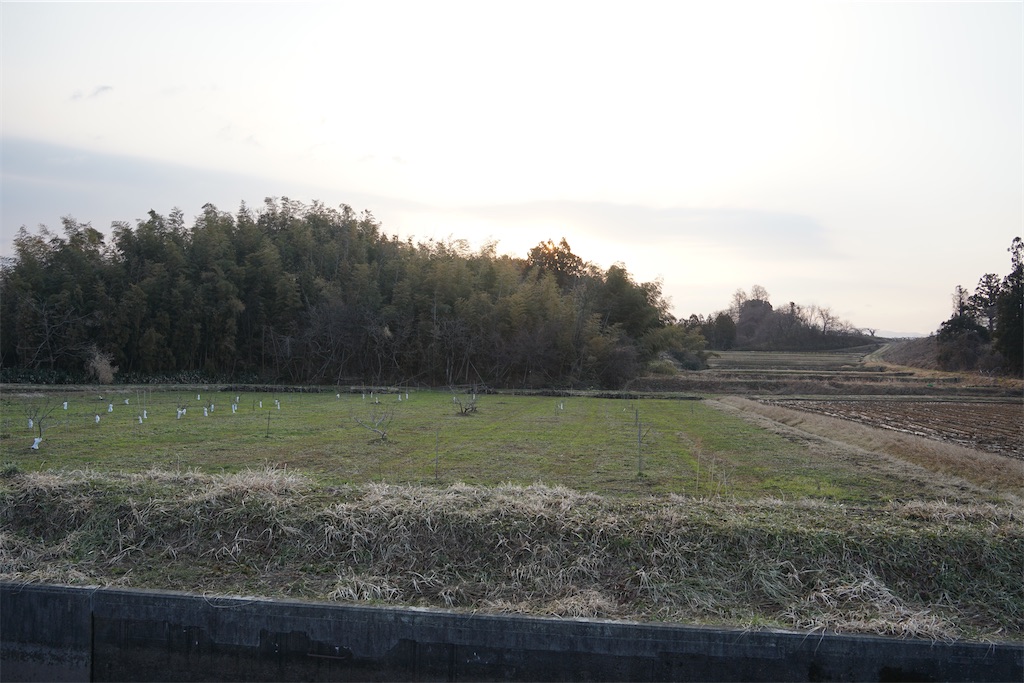 f:id:nagatorowo2:20250710045306j:image