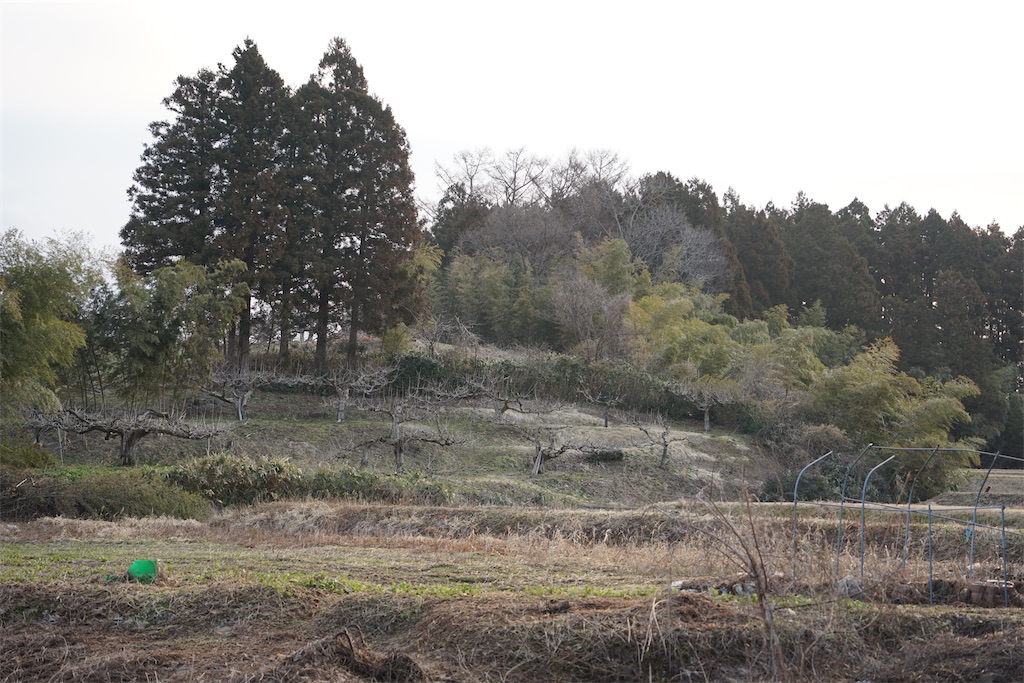 f:id:nagatorowo2:20250710045323j:image