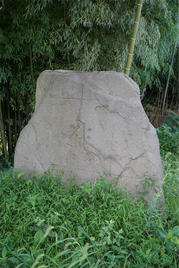 f:id:nagatorowo2:20250725011734j:image