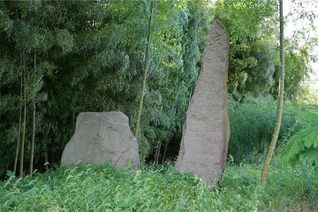 f:id:nagatorowo2:20250725011746j:image