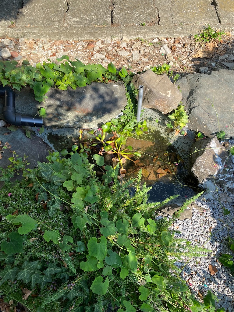 f:id:nagatorowo2:20250911005831j:image