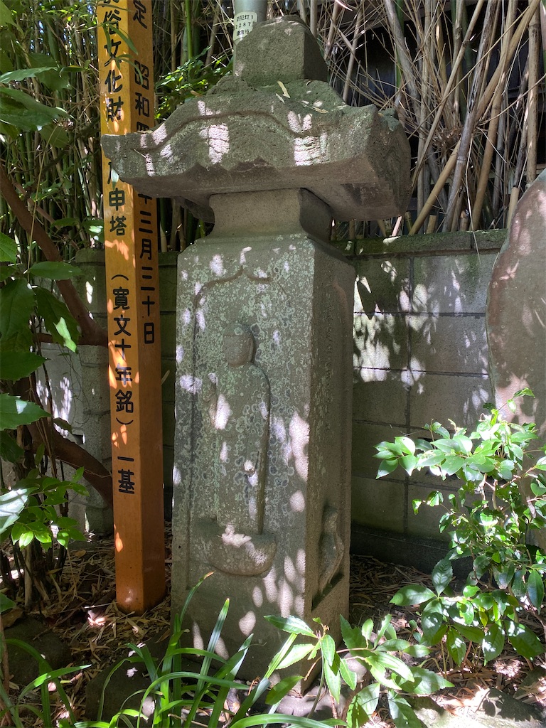 f:id:nagatorowo2:20250927220646j:image f:id:nagatorowo2:20250927220646j:image