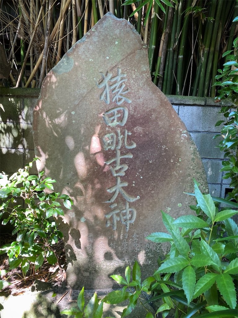 f:id:nagatorowo2:20250927220649j:image