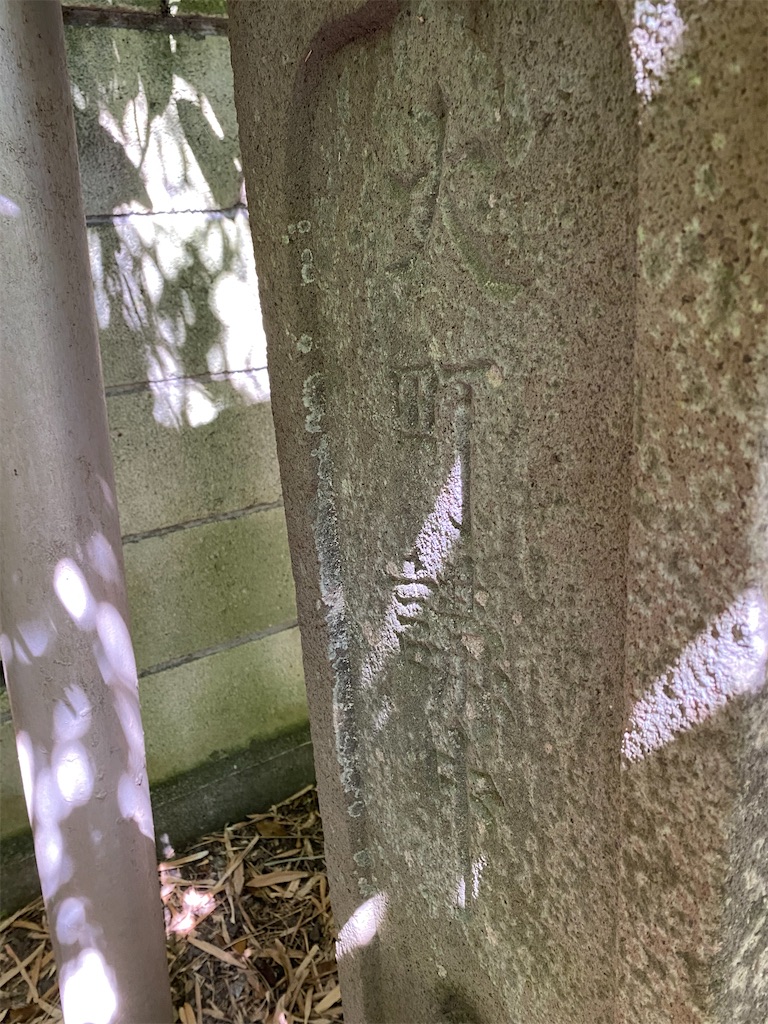 f:id:nagatorowo2:20250927223435j:image f:id:nagatorowo2:20250927223435j:image