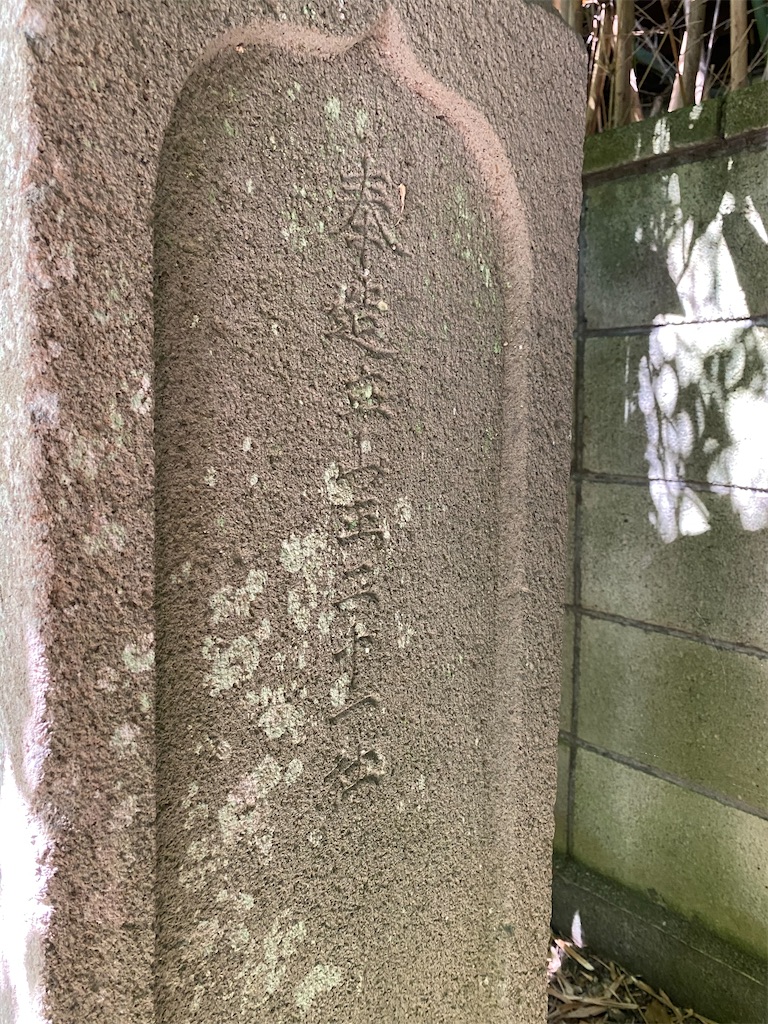 f:id:nagatorowo2:20250927223438j:image f:id:nagatorowo2:20250927223438j:image