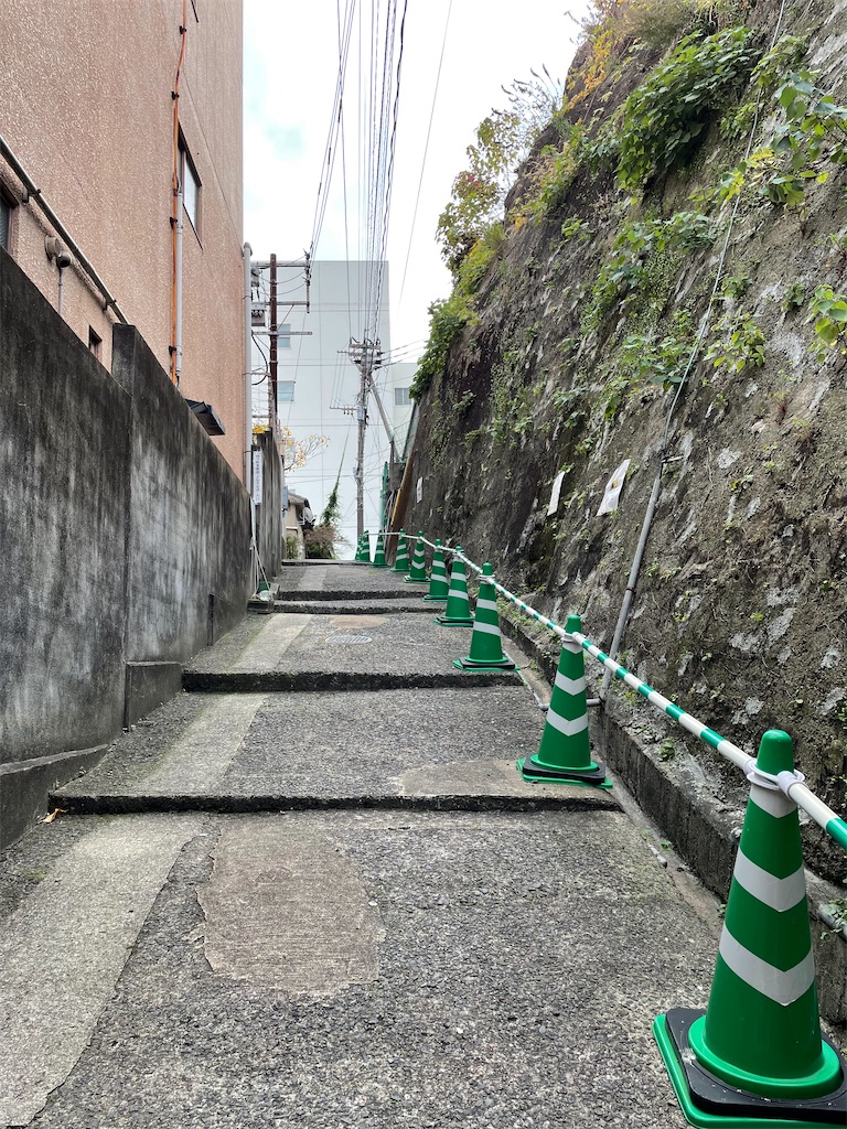 f:id:nagatsukiperu:20231223234444j:image f:id:nagatsukiperu:20231223234444j:image